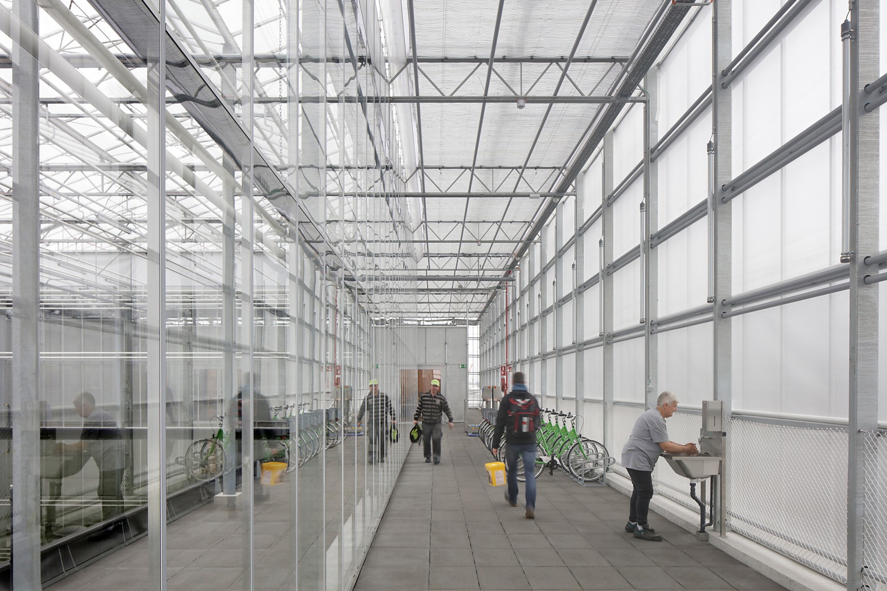 Agrotopia rooftop greenhouse Roeselare